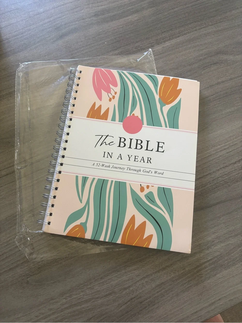 The Bible In A Year Spiral Journal - Teal, Pink, Tan
